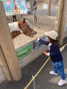 伊香保グリーン牧場に投稿された画像（2023/3/12）