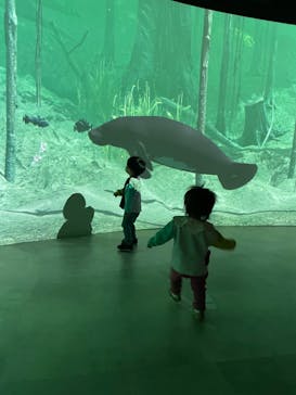 カワスイ 川崎⽔族館に投稿された画像（2023/3/12）