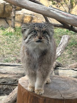那須どうぶつ王国に投稿された画像（2023/3/12）
