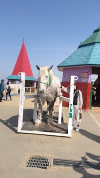 ワールド牧場に投稿された画像（2023/3/12）