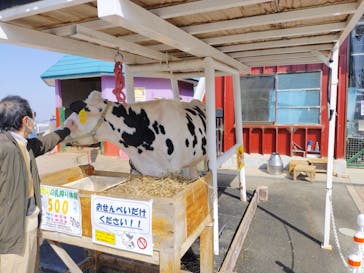 ワールド牧場に投稿された画像（2023/3/12）