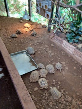 体感型動物園iZooに投稿された画像（2023/3/12）