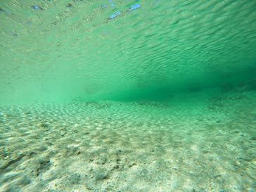 沖縄マリンサービス碧に投稿された画像（2023/3/12）