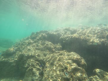 沖縄マリンサービス碧に投稿された画像（2023/3/12）