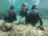 武藤潜水に投稿された画像（2023/3/12）