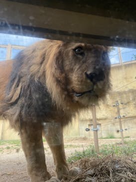 東武動物公園に投稿された画像（2023/3/12）