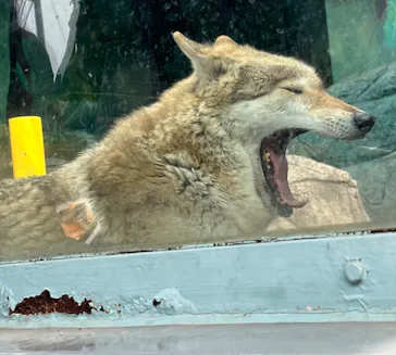 天王寺動物園に投稿された画像（2023/3/12）