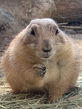 到津の森公園に投稿された画像（2023/3/12）