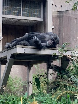 到津の森公園に投稿された画像（2023/3/12）