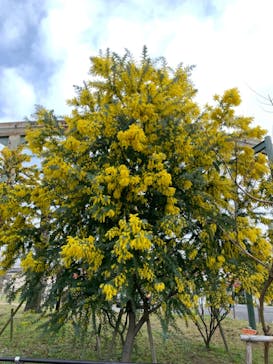 到津の森公園に投稿された画像（2023/3/12）