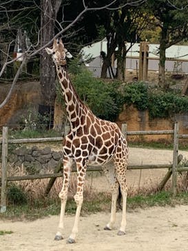 到津の森公園に投稿された画像（2023/3/12）