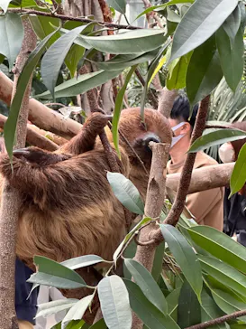 神戸どうぶつ王国に投稿された画像（2023/3/12）