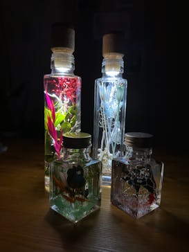 ずこうしつ〜sugamo〜に投稿された画像（2023/3/12）