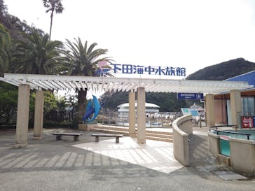 下田海中水族館に投稿された画像（2023/3/12）