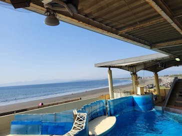 新江ノ島水族館に投稿された画像（2023/3/12）