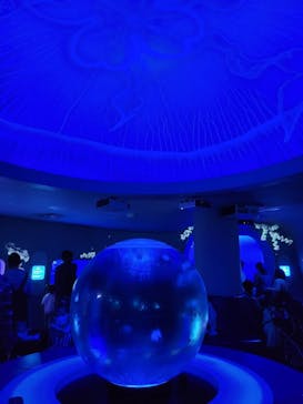 新江ノ島水族館に投稿された画像（2023/3/12）