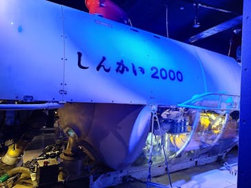 新江ノ島水族館に投稿された画像（2023/3/12）