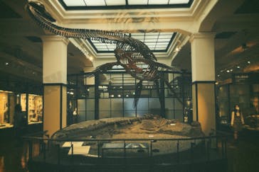 国立科学博物館に投稿された画像（2023/3/12）