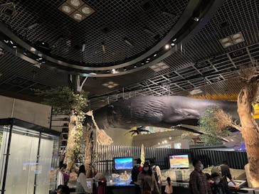 国立科学博物館に投稿された画像（2023/3/12）