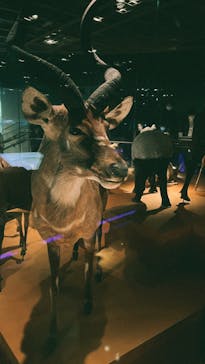 国立科学博物館に投稿された画像（2023/3/12）