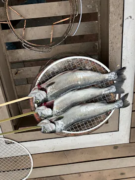 横浜・八景島シーパラダイスに投稿された画像（2023/3/12）