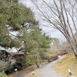 上方温泉 一休 京都本館に投稿された画像（2023/3/12）