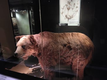 国立科学博物館に投稿された画像（2023/3/12）