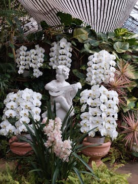 熱川バナナワニ園に投稿された画像（2023/3/12）