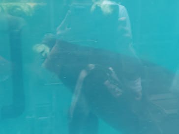 熱川バナナワニ園に投稿された画像（2023/3/12）