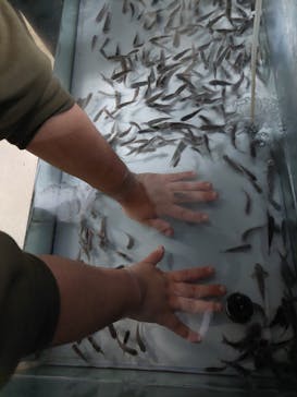 熱川バナナワニ園に投稿された画像（2023/3/12）