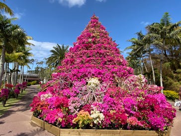 美らヤシパークオキナワ・東南植物楽園に投稿された画像（2023/3/12）