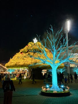 東京メガイルミに投稿された画像（2023/3/12）