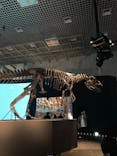 国立科学博物館に投稿された画像（2023/3/12）