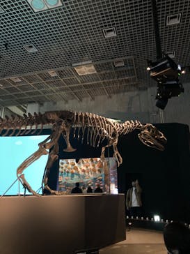 国立科学博物館に投稿された画像（2023/3/12）