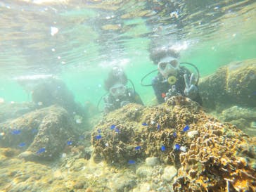 沖縄マリンサービス碧に投稿された画像（2023/3/12）