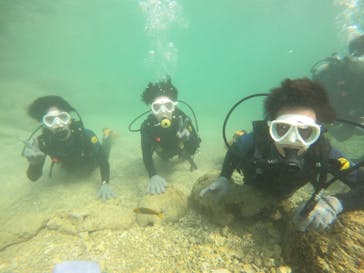 沖縄マリンサービス碧に投稿された画像（2023/3/12）