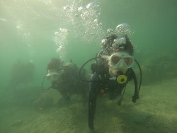 沖縄マリンサービス碧に投稿された画像（2023/3/12）