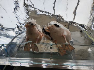 サンシャイン水族館に投稿された画像（2023/3/12）