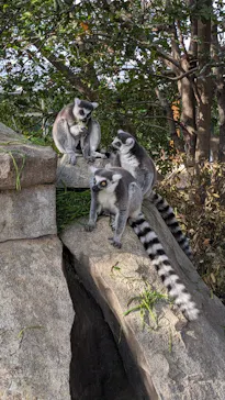 神戸どうぶつ王国に投稿された画像（2023/3/12）