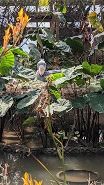 神戸どうぶつ王国に投稿された画像（2023/3/12）