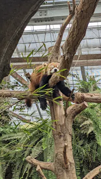 神戸どうぶつ王国に投稿された画像（2023/3/12）