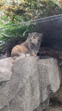 神戸どうぶつ王国に投稿された画像（2023/3/12）