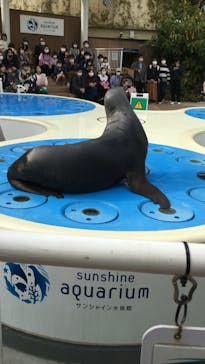 サンシャイン水族館に投稿された画像（2023/3/12）