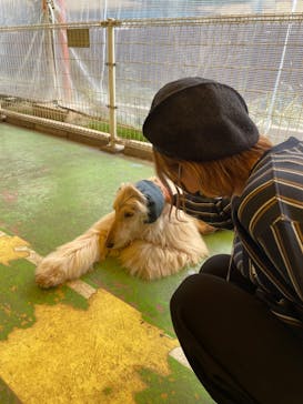 つくばわんわんランドに投稿された画像（2023/3/12）