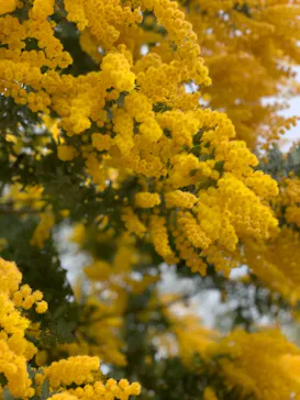 神戸どうぶつ王国に投稿された画像（2023/3/12）