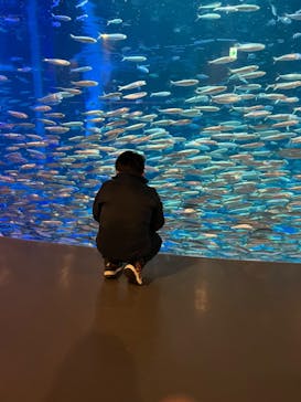 登別マリンパークニクスに投稿された画像（2023/3/12）