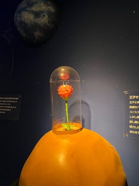 星の王子さまミュージアム 箱根サン=テグジュペリに投稿された画像（2023/3/12）