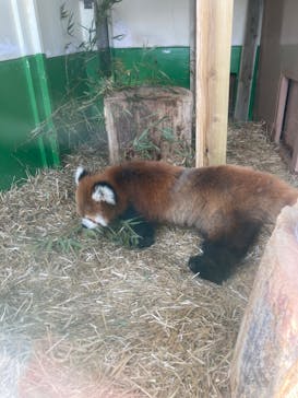 東武動物公園に投稿された画像（2023/3/12）