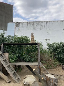 東武動物公園に投稿された画像（2023/3/12）