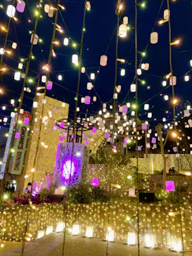 ひらかたパークに投稿された画像（2023/3/12）